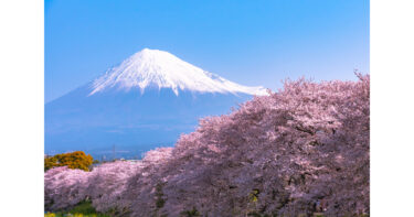 富士山頂と即席麵