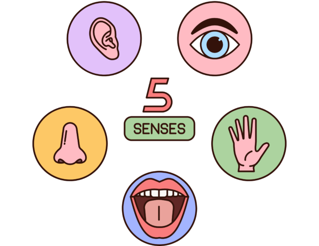 【高校英語　五感動詞（look, sound, smell, taste, feel）は第3文型！よく出る問題＆解説まとめ】